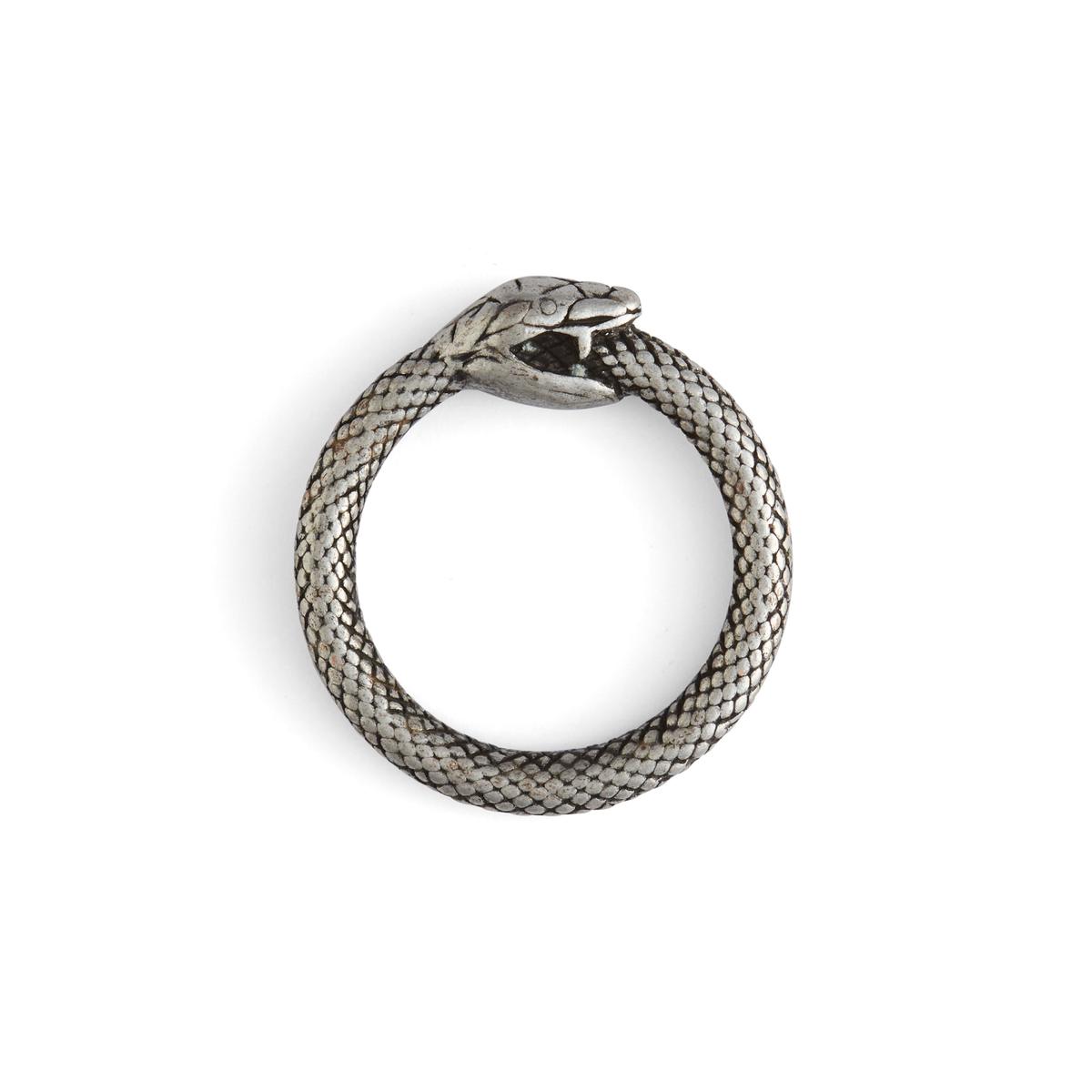 Infinity Snake O-Rings - 1" (25 mm)