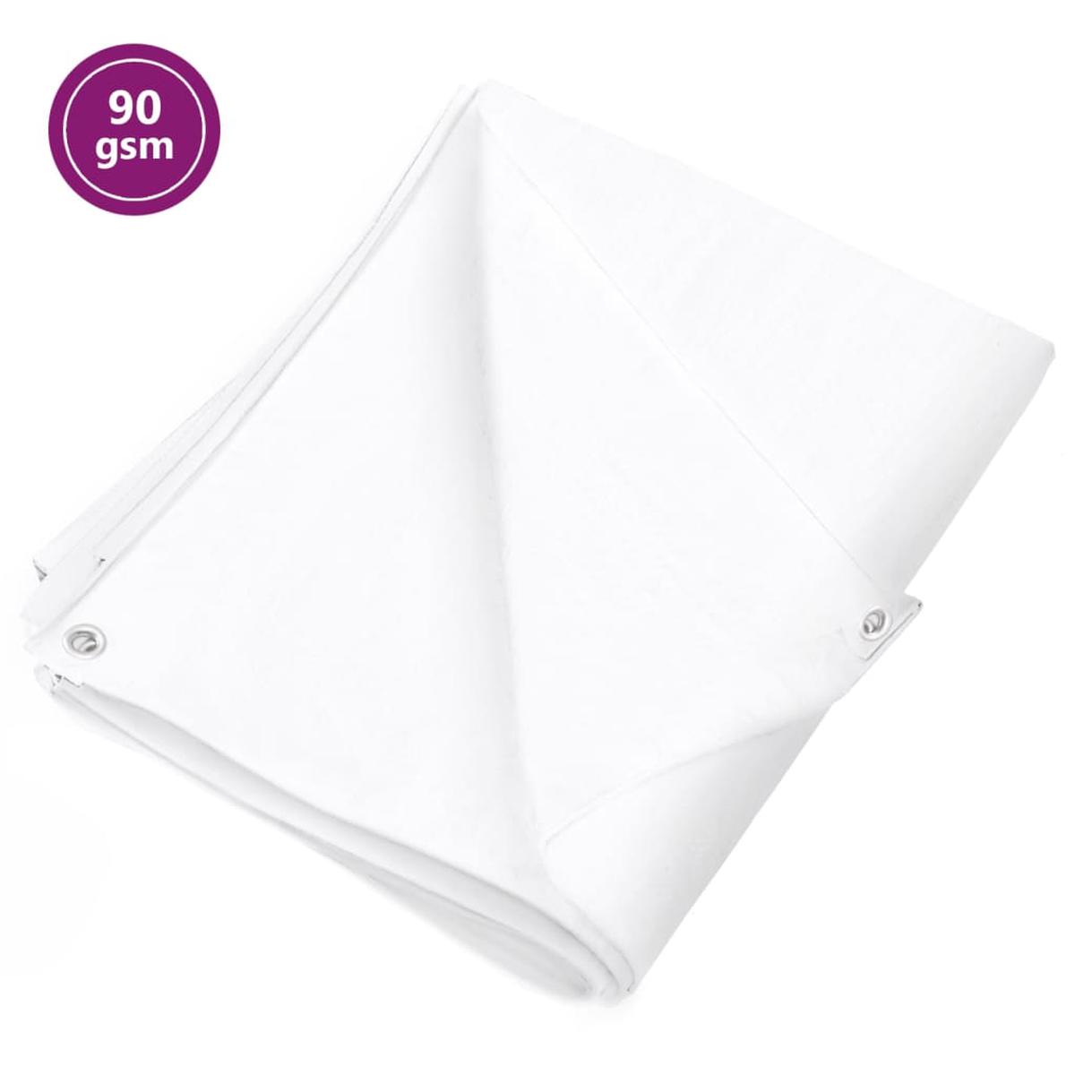 Berkfield Tarpaulin 90 g/m_ 4x6 m White HDPE