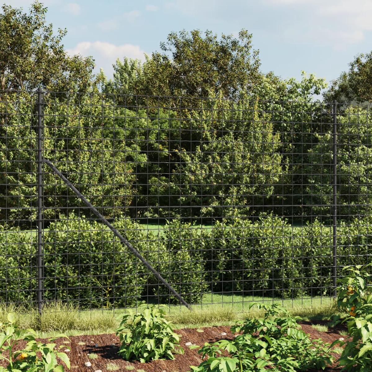 Berkfield Wire Mesh Fence Anthracite 1.8x10 m Galvanised Steel