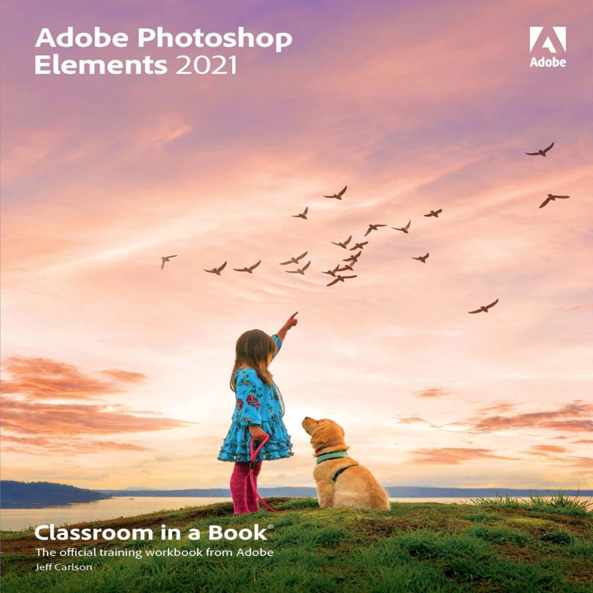 Adobe Photoshop Elements 2021 Classroom in a Book