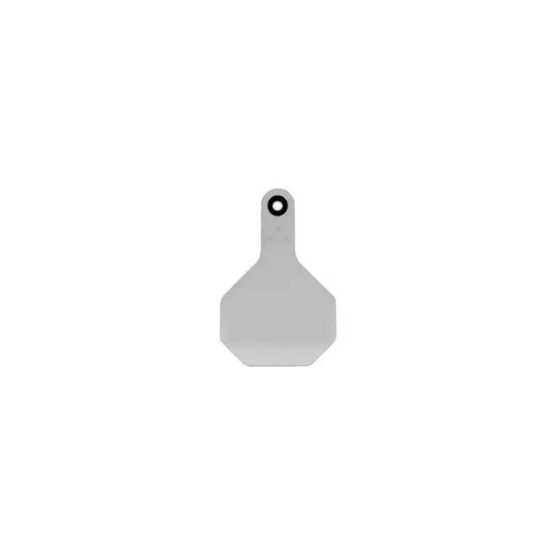 All American Livestock Tag, Blank, Medium, White, 25-Pk.