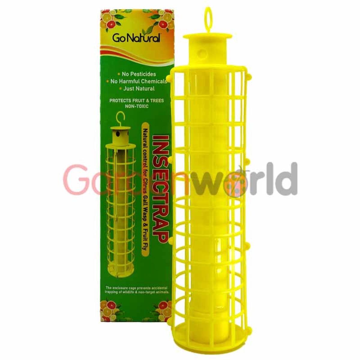 Insectrap with Cage Fruit Fly / Gall Wasp
