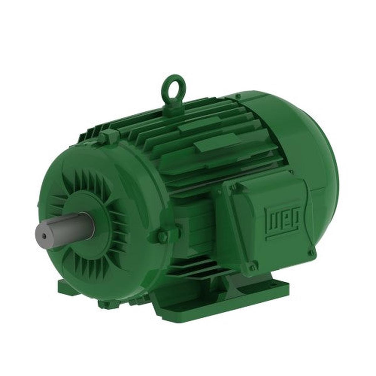 W22 Motor 3kW 3Ph 4P Foot Mnt 100L IP66 B3